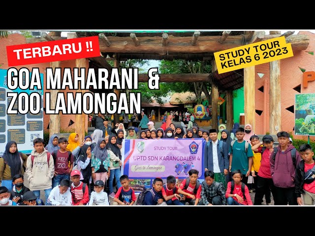 TERBARU ‼️ Goa Maharani dan Zoo Lamongan 2023 Wisata UPTD SDN Karangdalem 4 !! (RUTE #3) class=