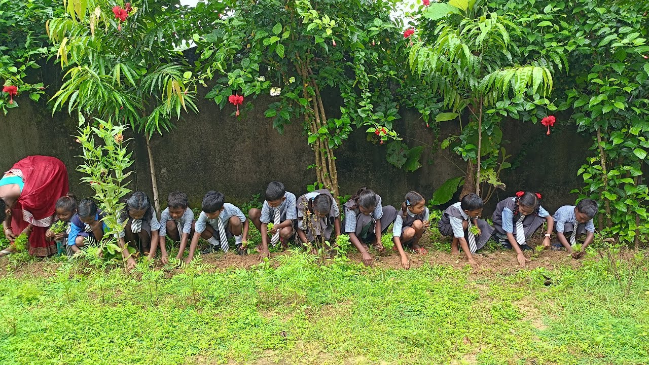 Look - Look - Look What can you see(Poem)  learning Action Words with Activity.