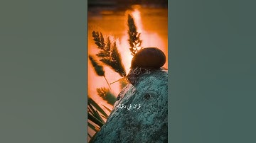 قران كريم ارح قلبك وسمعك #قران_في_دقيقة #quran #المصحف #قران #سعد_الغامدي @قران_في_دقيقة