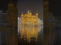 Beautiful Golden Temple Night View, Amritsar, Punjab #goldentemple #amritsar #temple