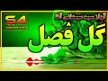 جنت الله نوری نعت ترانه مولوی سبحانی اغا گل فصل بهارم