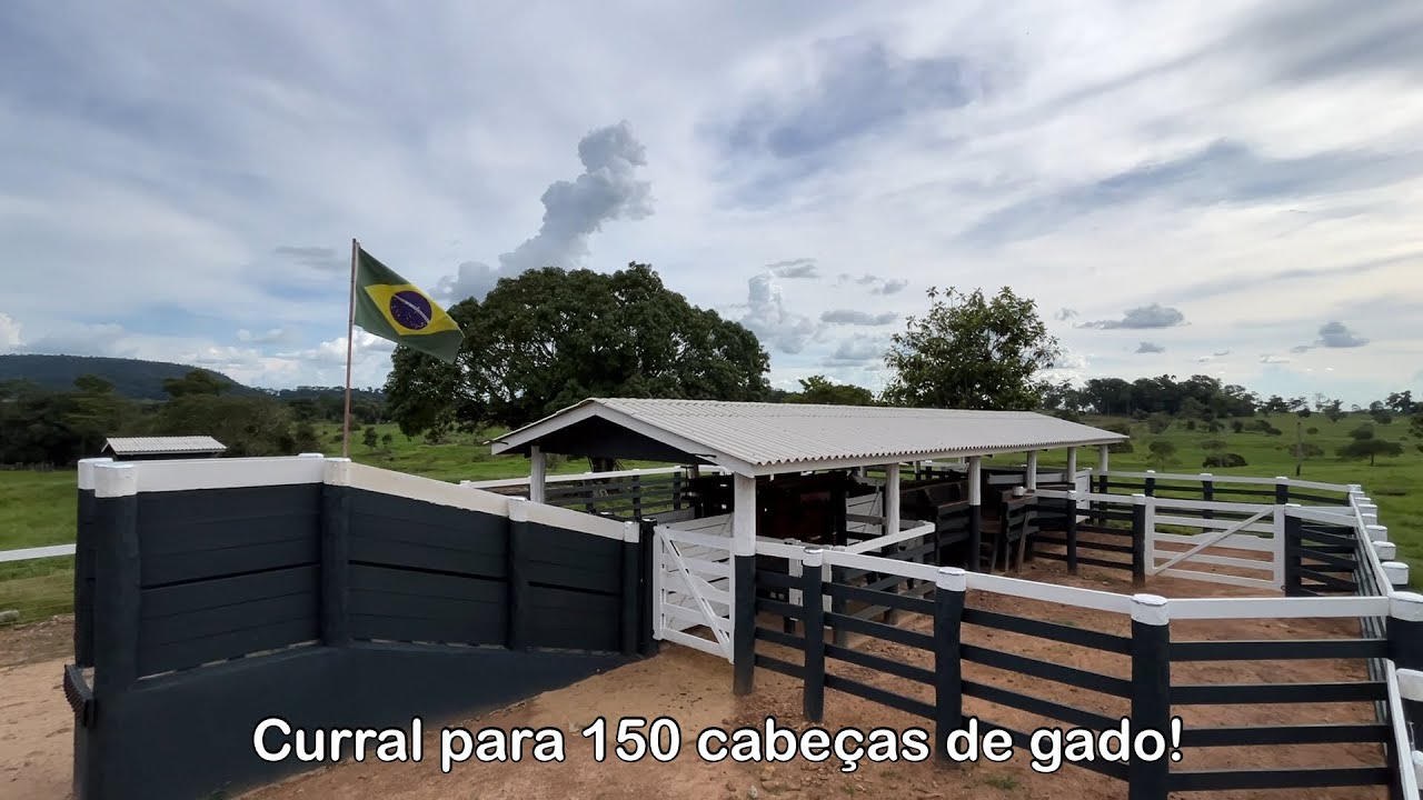Curral convencional para o manejo de gado de corte! Curral simples e funcional!