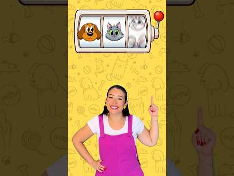 🐱 Girou, Parou… Qual Animal Saiu? 👀💛