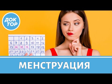 Нормальный менструальный цикл - это какой?