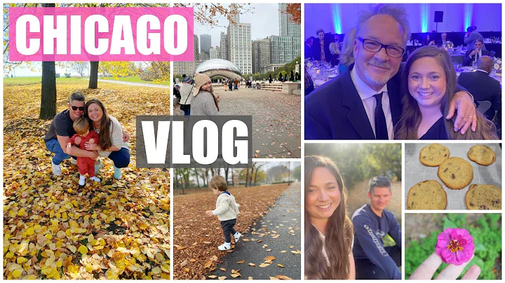 Weekly Vlog! Chicago, Putting Away Halloween & Rai...