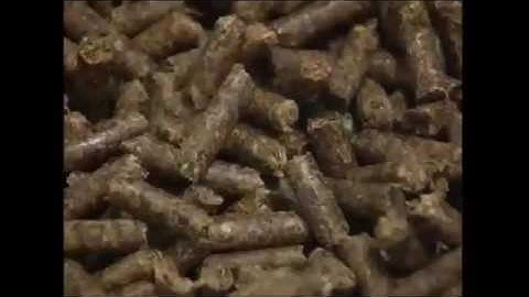 Quy Trình Sản Xuất Đường Từ Củ Cải Đường