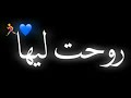 حالات واتس _ مهرجان روحت ليها مسك ايديها وشكلها بتحبنى _ حالات واتس دانتى مزه عليكى هزه _ حوده بندق