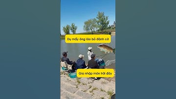 Dụ mấy ông lão bỏ cờ gia nhập môn trời đày #fishing #cauca #caucagiaitri #câucá
