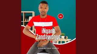 Umsebenzi Odelelekile