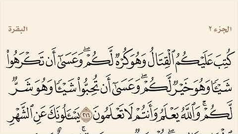 سورة البقرة مكررة من آية 216 إلى 219 القارئ وديع اليمني