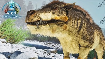 Taming The Dangerous Daeodon! - Ark Survival Ascended - Episode 22!