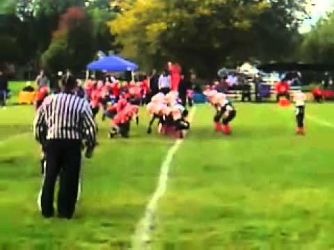 Windy City Dolphins Tafa