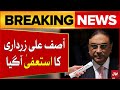 President Asif Ali Zardari Big Resignation | PPP Latest Update | Breaking News