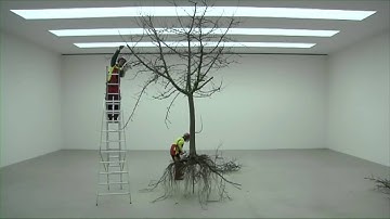 Com&Com: Deconstruction Tree (2010, Performance, dok long version)
