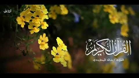 تلاوة🌿✨| القارئ: خالد المطرودي