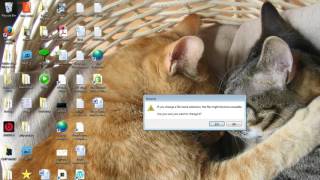 How to extract images from Microsoft Word Document
