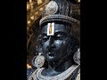 OM NAMO VENKATESAYA|Lord Venkateswara Swamy|Tirupati Balaji #venkateswaraswamy #tirupatibalaji