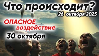 видео: Нехорошее событие 30 октября. Кого заденет | Медитация группы Победа Света картинка: Нехорошее событие 30 октября. Кого заденет | Медитация группы Победа Света