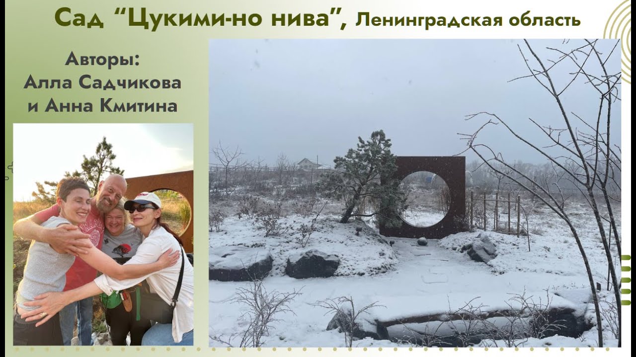 Японский сад — не набор элементов, а продуманная идея пространства