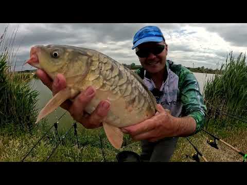 Видео: ДОЩІК СКІНЧІВСЯ  і сів зеркальний короп