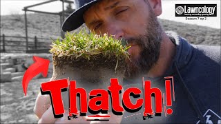 When to DETHATCH a LAWN and HOW to do it EASY!