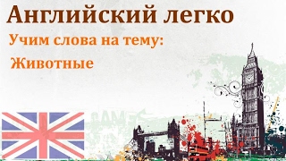 Учим английские слова, тема: Животные #4 Учим английские слова, тема: Животные #4
