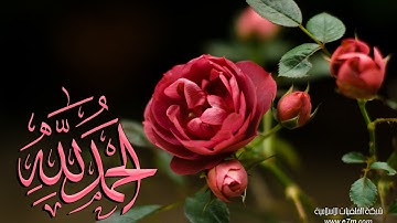 تلاوة رائعة سورة الهمزة - الشيخ عبدالرحمن السديس www.qoranet.net