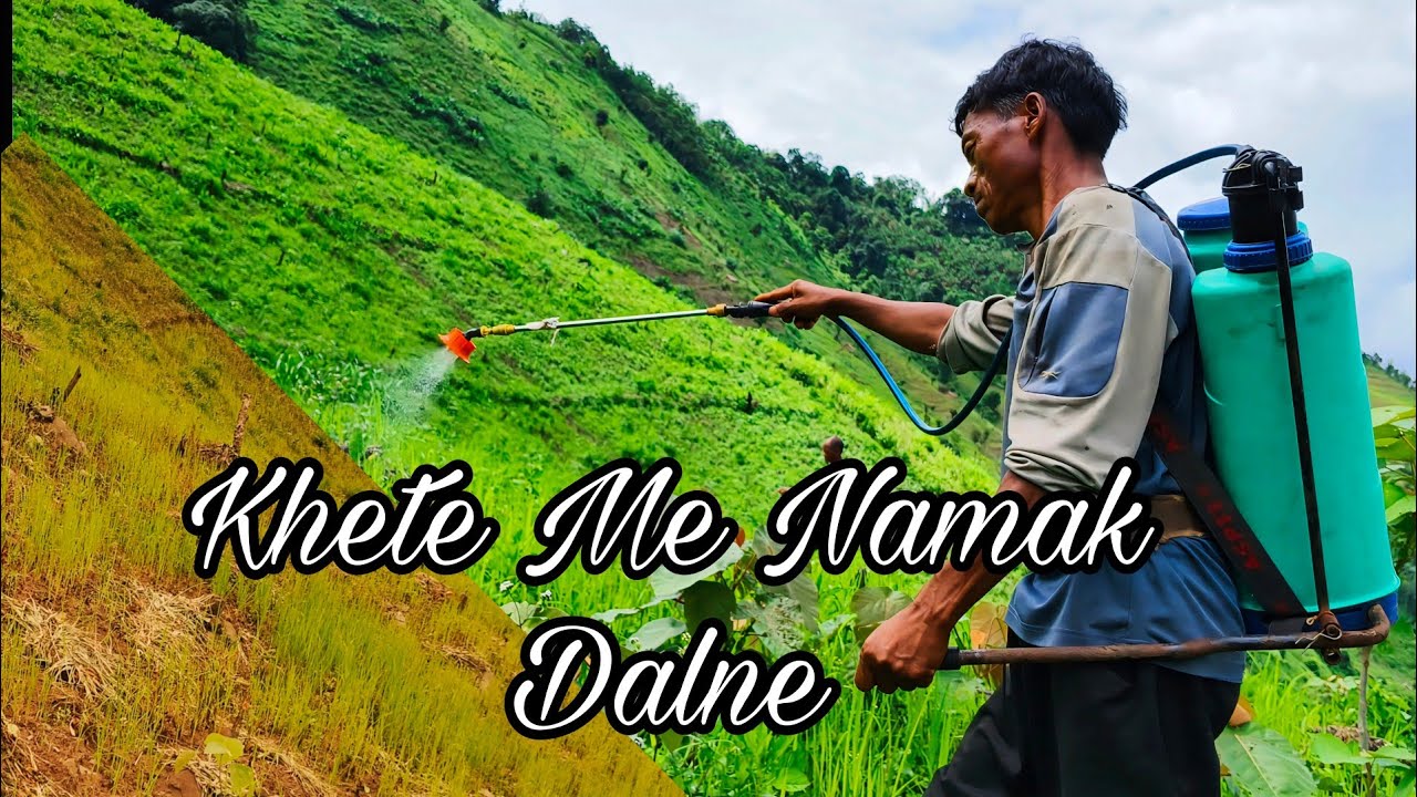 Dhaan Khete Me Namak Dalne Jaiga 🌾🌾