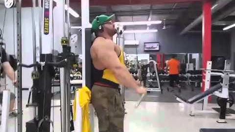 Joey Pyontka / Arms Motivation 2015