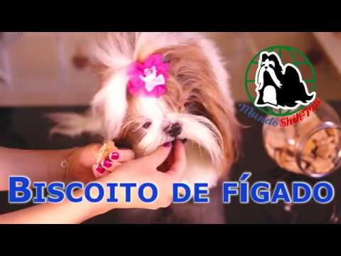 RECEITA BISCOITO DE FÍGADO PARA CACHORRO