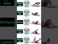 Entraînement abdos sans matériel #abstraining #homeabsworkout #homeworkout #musculation #gomuscu