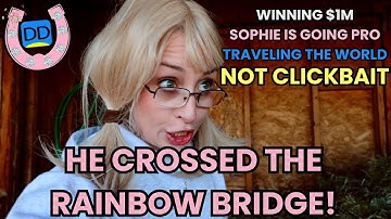 EVERY DAYBYDAY VIDEO EVER MADE (*IN 3 MINUTES)