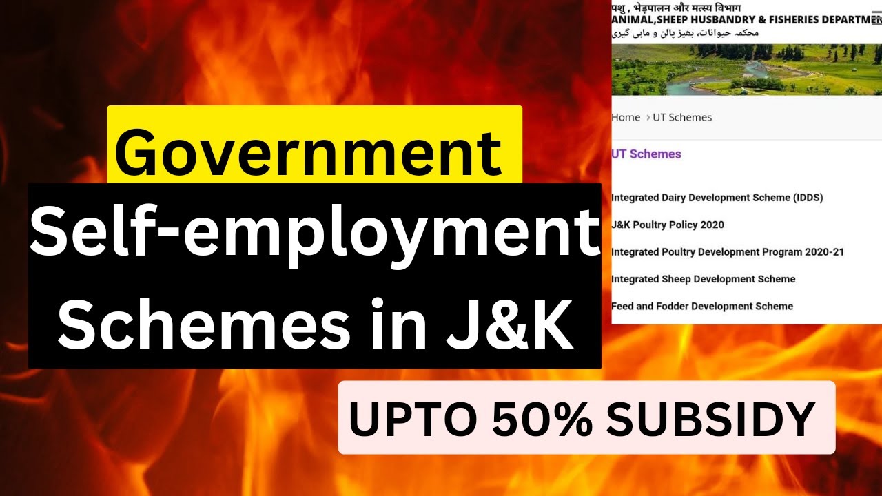 self-employment-schemes-in-j-k-for-youth-j-k-animal-sheep-husbandry