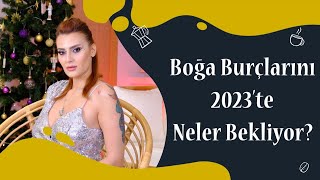 Boğa Burçlarını 2023Te Neler Bekliyor?