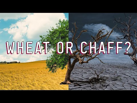 Wheat Or Chaff? // Joshua Chapter 1 With James Kaddis