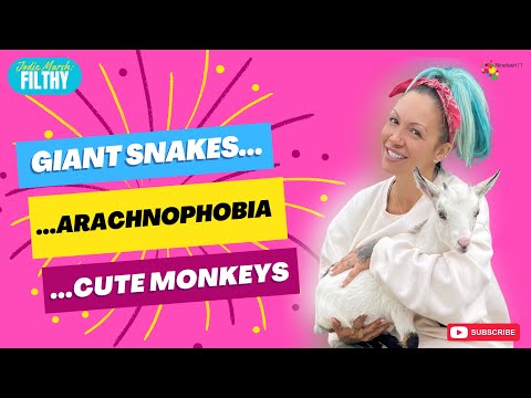 Giant Snakes...Arachnophobia...& Cute Monkeys - Jodie Marsh: Filthy Ep 38