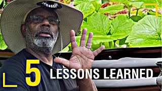 5 Raised Bed Lessons Learned During this Season