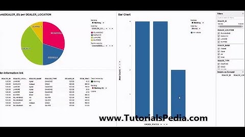 TIBCO Spotfire Step By Step Tutorial For Creating Reports