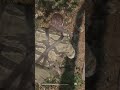 well it was indeed a death pit | #2dev114 on #Twitch