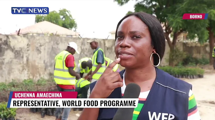 Stakeholders Plant 100,000 Trees To Mitigate Effect