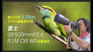 富士GF500mmF5.6 R LM OIS WR拍摄体验