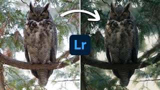 From Flat to Moody | Lightroom Editing Walkthrough