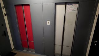 видео: 🔥Красные ДШ на этажах! Лифты (КМЗ-1970 г.в), город Москва, Красного Маяка, 2 подъезд 1, (Чертаново) картинка: 🔥Красные ДШ на этажах! Лифты (КМЗ-1970 г.в), город Москва, Красного Маяка, 2 подъезд 1, (Чертаново)