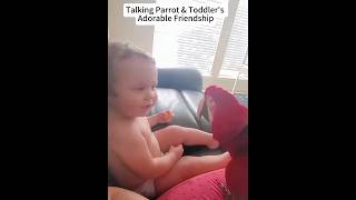 The nice world of parrots and Toddlers. #parrotlet #baby #foryou #cute #baby #funny #cute #laugh