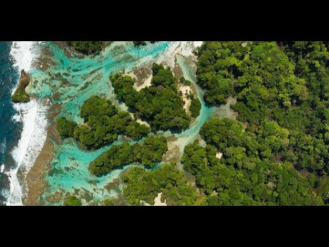 वीडियो: असम में माजुली द्वीप: आवश्यक यात्रा गाइड