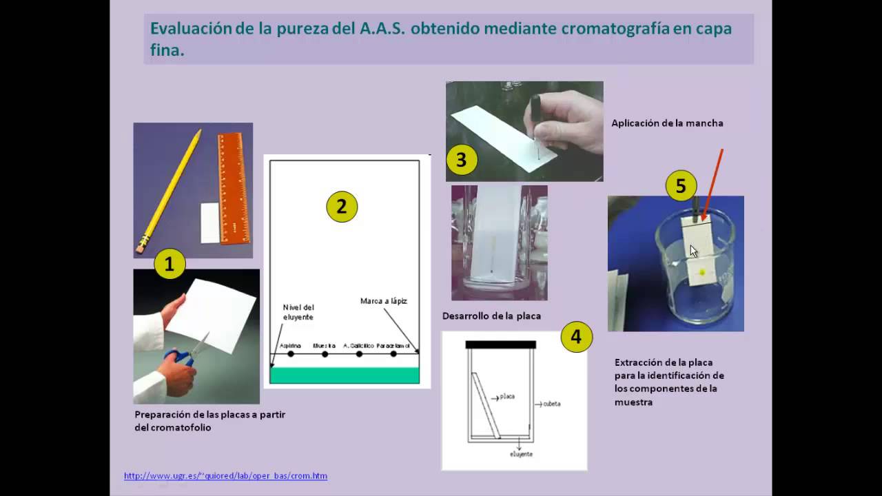 Cromatografia Esquema My Xxx Hot Girl