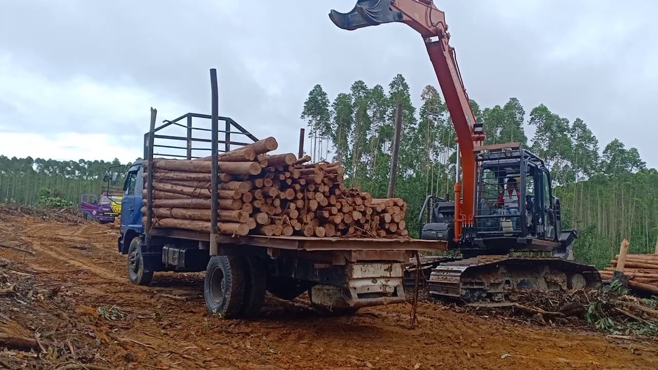  Truk  engkel muat  kayu  Sebulu HTI sinar mas YouTube