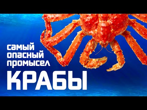 Крабы. Самый опасный промысел | Анатомия Монстров