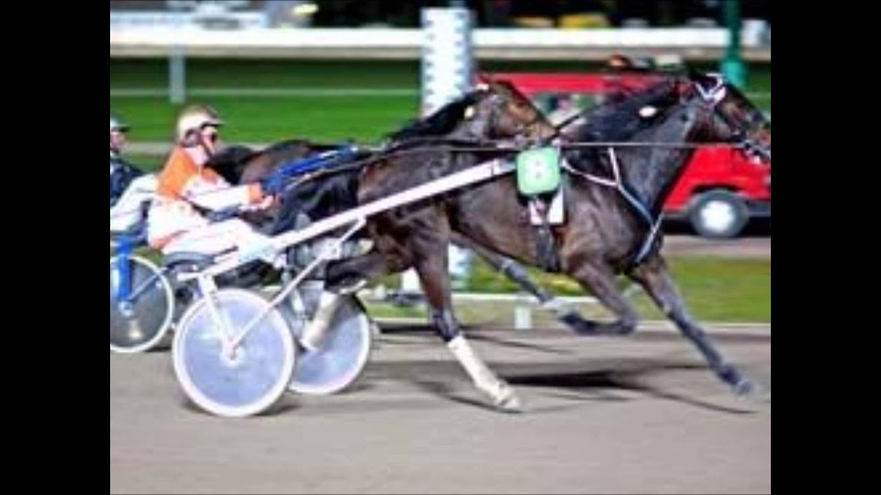 Äänekosken Leiffi Kaaleensikermä