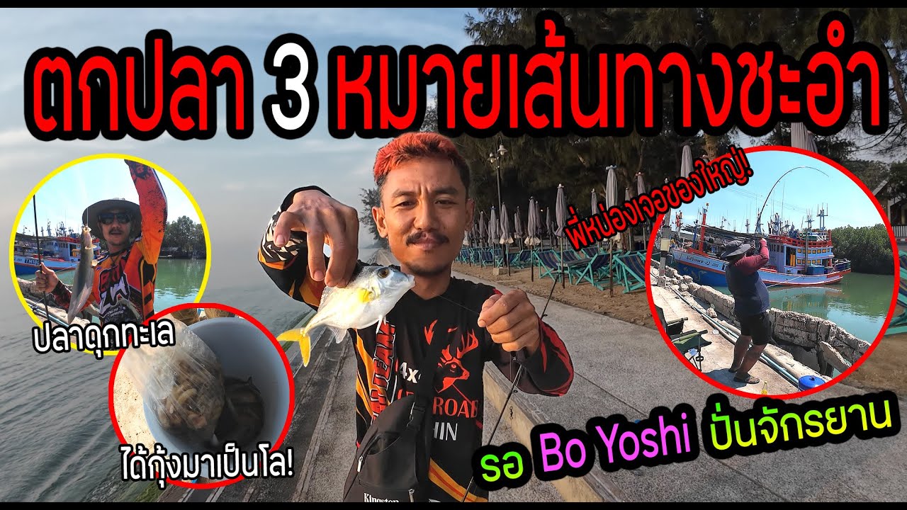 ตะเวนตกปลา 3 หมายเส้นทางชะอำ!!! รอ BoYoshi ปั่นจักรยาน 100 โล